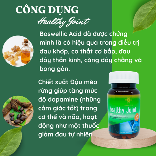 Thá»±c phẩm bảo vá» sức khá»e Khá»p khá»e mạnh Healthy Joint Teresa Herbs 90 viên 7 Healthy Joint (2)