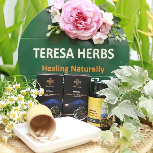 Teresa Store - Há» Thá»ng Cá»a Hà ng Quà Tặng Sức Khoẻ 51 Nam-van-chi-nui-phu-si-2