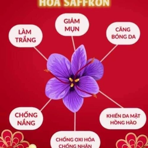 8d40dfe4ebf6a0a6f560e4bb4c72996b