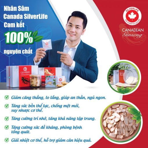 Nhan-sam-canada-silverlife-tot-nhu-the-nao-900x900