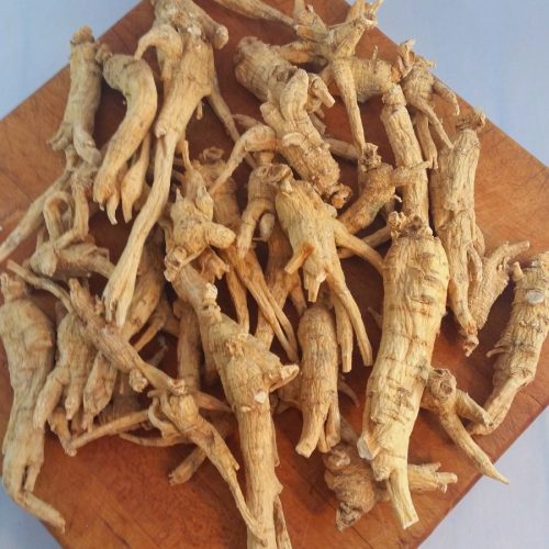 SÃm Canada Há»p 100g-classic (5)