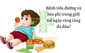 Beo-phi-do-dau