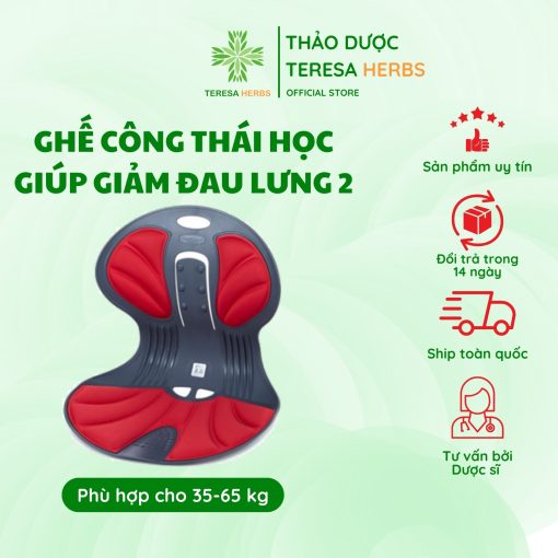 gháº¿ cÃ´ng thÃ¡i há»c baleun angel chair