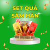 Set QuÃ  SÃ¢m HÃ n Quá»c