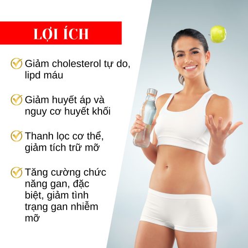 Trà Thảo Dược SATUREX Há» Trợ Detox Và Giảm Mỡ Máu Há»p 30 gói 5 Dược-trà -saturex (2)