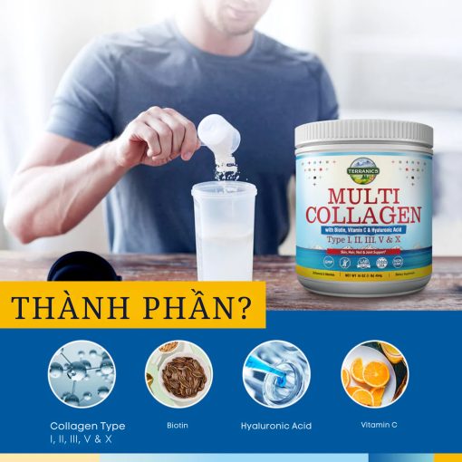 ThÃ nh-pháº§n-chÃ­nh