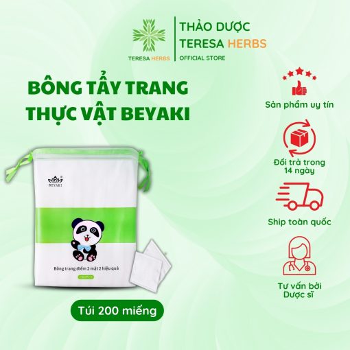 BÃ´ng TÃ¢y Trang BEYAKI Thá»±c Váº­t Beyaki