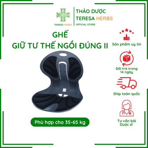 Gháº¿-thiÃªn-tháº§n-cÃ´ng-thÃ¡i-há»c-baleun-chair-angel-2-Äen