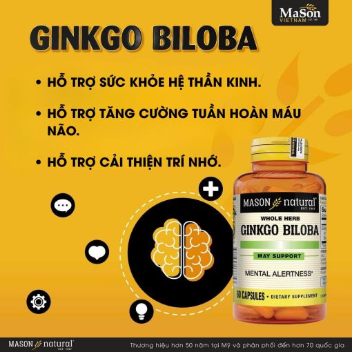 Mason Ginkgo Biloba (1)