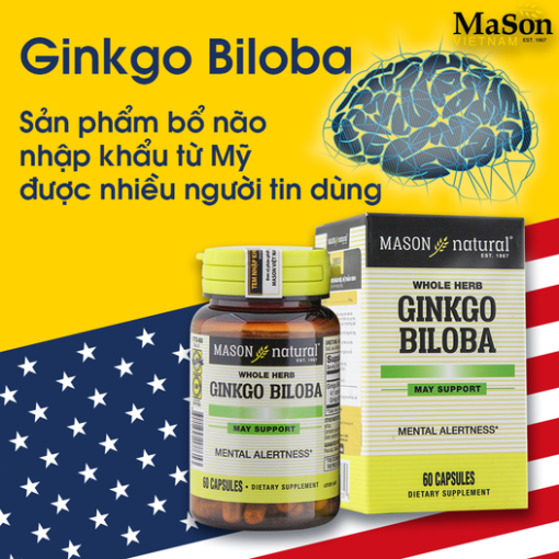 Mason Ginkgo Biloba