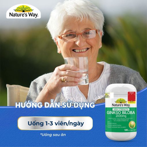 Natureâs Way Ginkgo 2000 (1)