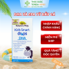 Nature'S Way Kids Smart Drops Dha - Há» Trợ Phát Triá»n Não Bá», Thá» Lá»±c Cho Bé - 20ml 7 Nature'S Way Kids Smart Drops Dha