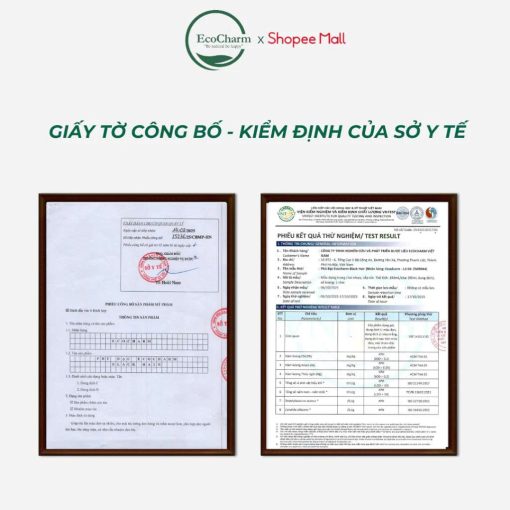 Dau-goi-phu-bac-ecochram (1)