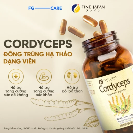 Cordyceps